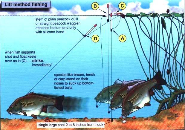 Underwater - lift1.jpg